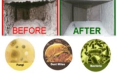 air duct dirty and infected with mold and mildew before and after Steam Carpet Cleaning Services, air duct dirty and infected with mold and mildew