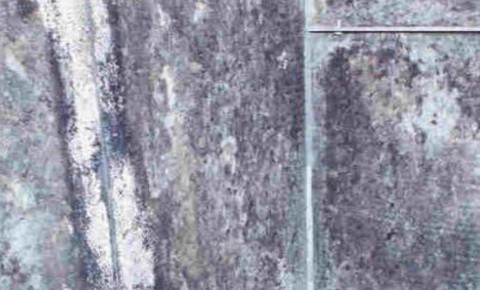 air duct with mold growing in it mold grewing in an air duct