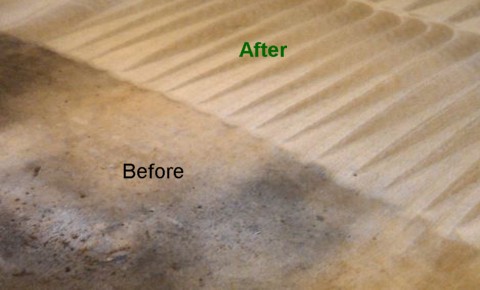 Professional stain removing and steam cleaning oil and grease stains from carpet Professional stain removing and steam cleaning oil and grease stains from carpet